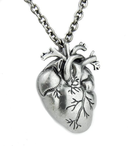 Anatomical Heart Pendant Realistic Oddities Pendant