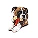 Nylabone Double Bone Power Chew Toy for Dogs, Dog Toys for Aggressive Chewers, Bacon Flavor, X-Large - 50+ lbs, 1 Count
