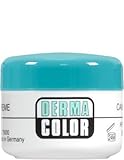Kryolan 75000 Dermacolor Camouflage Creme Foundation Makeup 4g (Multiple Color Options)