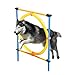 PAWISE Dog Agility Training Hoop, Outdoor Dog Agility Hurdle Toy Set