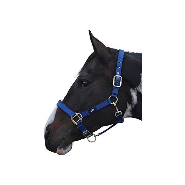 Hy Grand Prix - Cavezza