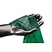 TheraBand Professional Latex Resistance Bands For Upper and Lower Body Exercise, Physical Therapy, Lower Pilates, At-Home Workouts, and Rehab, 5 Foot, 30 Count, Green, Heavy, Intermediate Level 1