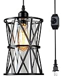 HMVPL Farmhouse Plug in Pendant Light, Outdoor Swag