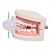 ANTI SNORING DEVICE - RGN HEALTH TECH SLEEP AID - STOP SNORING IMMEDIATELY - HEALTHY UNINTERRUPTED SLEEP - TRAVEL CASE INCLUDED - SLEEP WELL TONIGHT!