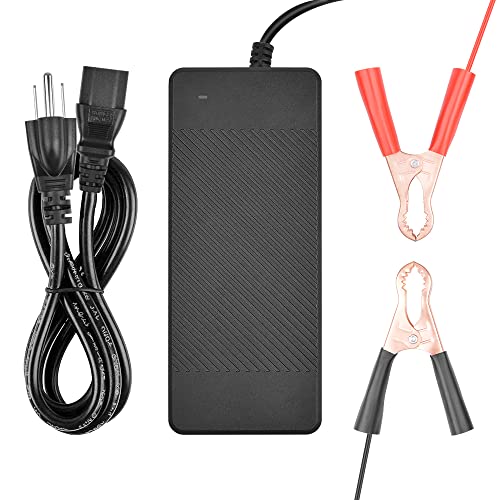 4S 14.6V 20A Lifepo4 Charger For 12V 40AH 60AH 80A... – Vicedeal - View #4