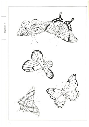 百蝶画譜 中国語 中国画線描 大人の塗り絵 鮮やかな蝶の塗り絵 中国画線描 劉琴芳 本 通販 Amazon