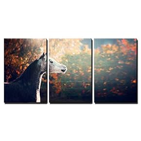 3 Piece Canvas Wall Art - Beautiful Arabian Horse with Whitehead on Wonderful Nature Background - Modern Home Art Stretched and Framed Ready to Hang - 16"x24"x3 Panels