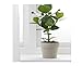 IKEA ceramic plant pot, beige, pack of 2
