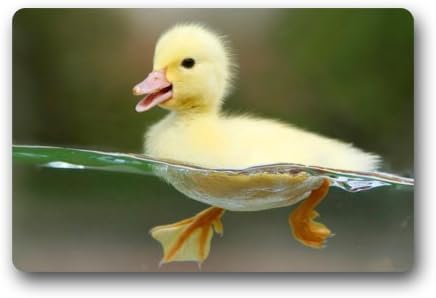 Cute Little Baby Duck Swiming in the Water Doormat Door Mat Rug Indoor/Outdoor/Floor Mat Rug for Home/Office/Bedroom 23.6"(L) x 15.7"(W)