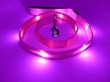 Godoggie USB Rechargeable Glow LED Dog Leash with Padded Handle and D-Ring, 4-Feet, Pink