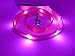GoDoggie-GLOW, Improved Dog Visibility & Safety, Jan Sale Now On, USB Rechargeable LED Dog Safety Leash, 7 Colors & 5 Sizes, Ultra-Bright LEDs, Soft-Grip Padded Handle, Visible, Safe & Secure, PINK