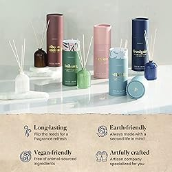 Paddywax Petite Collection Scented Oil Reed