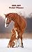 2020-2021 Pocket Planner: Equestrian Two-Year Monthly Pocket Planner with Phone Book, Password Log and Notebook. Nifty 2 Year (24 Months) Agenda, ... and Organizer - Cute Dog & Horse Autumn love
