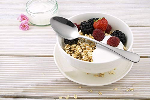 5 Hiware+12+piece+Stainless+Teaspoons+Inches