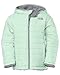 The North Face Little Girls' Toddler Reversible Mossbud Jacket (Sizes 2T - 4T)