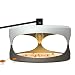 Flea Trap With 2 Glue Discs,Home Pest Contral. Non-poisonous and Natural Flea Killer, Trapest Sticky Flea Bed Bug Trap.