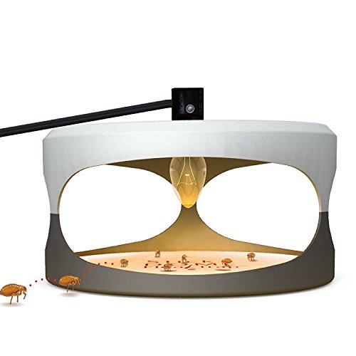 Flea Trap With 2 Glue Discs,Home Pest Contral. Non-poisonous and Natural Flea Killer, Trapest Sticky Flea Bed Bug Trap.