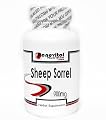 Sheep Sorrel 900mg 90 Capsules ~ Renevitol