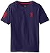 U.S. Polo Assn.. Big Boys' Solid V-Neck T-Shirt with Large Embroidered Logo, Dodger Blue Heather, 14/16
