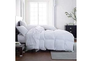 LAVISH COMFORTS Down Alternative Comforter Queen Size - Fluffy Duvet Insert - Puffy Premium All Season Winter - Luxury Breathable Hotel Plush Comforter - Queen, White, 86x86 inches - Eco-Compressed Packing