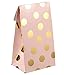 BLUE PANDA Goodie Bags Rose Gold Polka Dot Pink Paper - 24 Pack, Pink & Gold, 5.5 x 8.6 x 3 In - Paper Gift Bags with Flap Closure & Polka Dot Design for Birthday & Baby Shower Favors