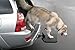 Heininger 3052 PortablePET Twistep Dog Hitch Step