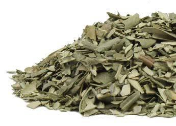 Bulk Herbs: Olive Leaf (Organic)