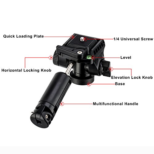 BONFOTO B73A + BH-00 58-inch Aluminum Alloy Professional Compact Travel Camera Tripod and Monopod with Panorama Pan Head + Swivel Ball Head + Carrying Bag for Smartphones and Digital Camera