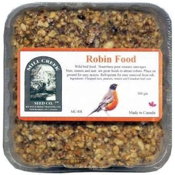 What Bird Feed for Robins: Top Nutritious Choices Revealed