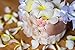 Customoffi Modern Basket – Best for Flower Girl Basket for Any Events – Classic and Elegant Round Basket with Handle
