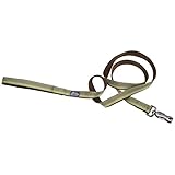 K9 Explorer Reflective Dog Leash Fern
