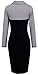 HOMEYEE® Women's Retro Chic Colorblock Lapel Career Tunic Dress B238 (S, White)