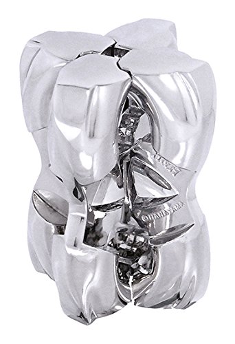 Hanayama Cast Metal Puzzle H and H