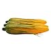 Babariol Artificial Corn, Lifelike Simulation Fake Vegetable Corn (3 pcs) (Corn)