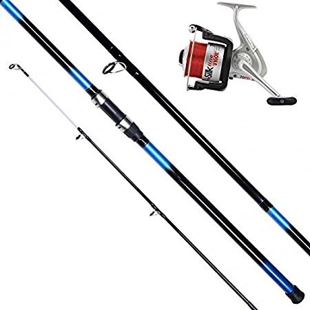 beachcaster rod and reel