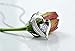 Fashion Women Silver Heart Pendant White Purple Amethyst Zircon Cystal Necklace with Gift Box (White)