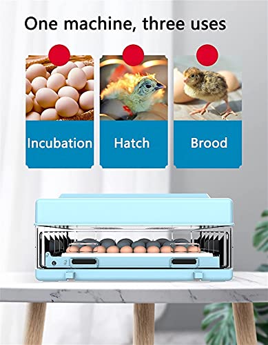 FHISD Brutmaschine Brutmaschine mit hoher Kapazität 432 Eier Brutmaschine Digitalanzeige Automatische Temperaturregelung… – Bild 8