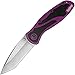 Kershaw Blur Linerlock A/O Purple Folding Knife