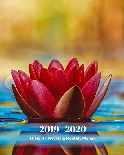 2019 - 2020 | 18 Month Weekly & Monthly Planner: July 2019 to December 2020 |Monthly Calendar with U by Dazzle Book Press