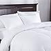 puredown Luxury Fill White Goose Down Comforter 400 Thread Count 600 Fill Power Eygptian Cotton, Full/Queen Size, White (PD-GC15007-F)