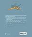 Dragonflies and Damselflies: A Natural History