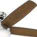 Hunter Fan Avia 54” Ceiling Fan with Burnt Walnut/Autumn Walnut Reversible Blades
