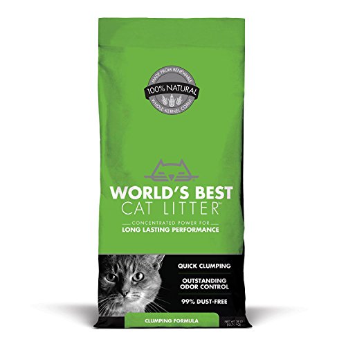 World's Best Cat Litter Cat my love