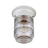 Acclaim 101WH Builder's Choice Collection 1-Light Ceiling Mount Outdoor Light Fixture, Gloss White
