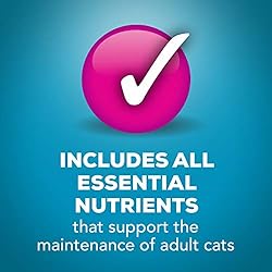 Purina Friskies Wet Cat Food, Shreds - (24) 5.5