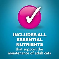 Purina Friskies Wet Cat Food, Shreds - (24) 5.5