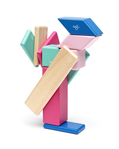 14 Piece Tegu Magnetic Wooden Block Set, Blossom.
