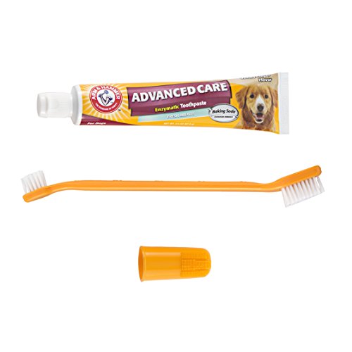 Arm & Hammer Dog Dental Care Fresh Breath Kit for Dogs Contains