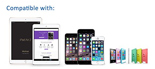 iXCC Element Series 4 inch Apple MFi Certified Lightning 8pin to USB Charge and Sync Cable for iPhone SE/5/6/6s/7/Plus/iPad Mini/Air/Pro - White