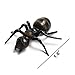 LovesTown Big Fake Ants Prank Novelty,50 PCS